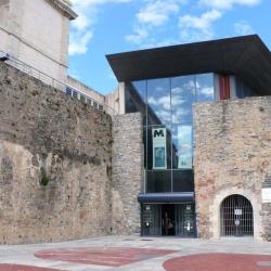 Musée De La Corse
