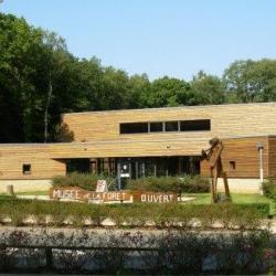 Musée De La Foret