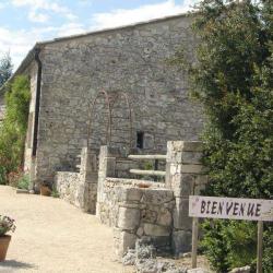 Musée De La Lavande
