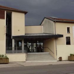 Musée De La Lutherie