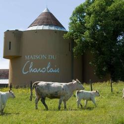 La Maison Du Charolais