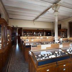 Musée De Minéralogie