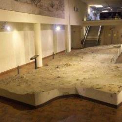 Musée De Paléontologie Humaine