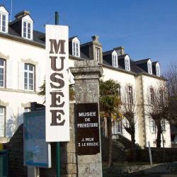 Musee De Prehistoire