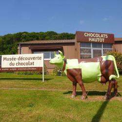 Musée Découverte Du Chocolat