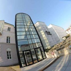 Musée Départemental D'art Ancien Et Contemporain Mudaac