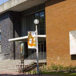 Musée Des Beaux-arts De Calais