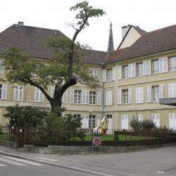 Musée Des Beaux-arts