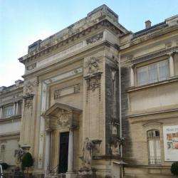 Musée Des Beaux-arts
