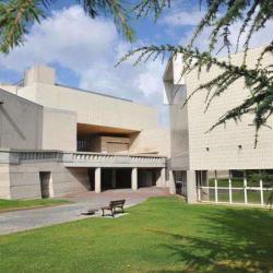 Musée Des Beaux Arts