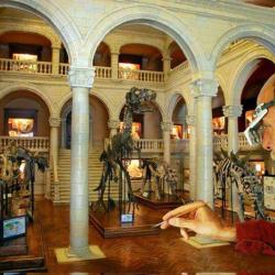 Musée Miniature Et Cinéma