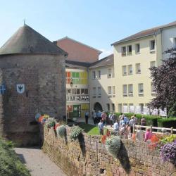 Musée Du Chapitre