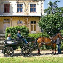 Musée Du Cheval Et D'attelage