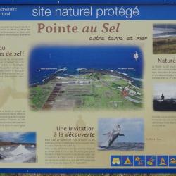 Musee Du Sel