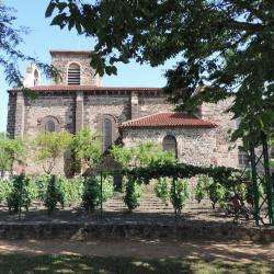 Musée Jardin De La Vigne