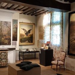 Musée Jean De La Fontaine