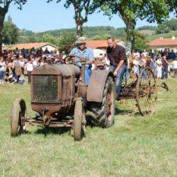 Musee Paysan De La Save