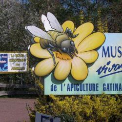 Musée Vivant De L'apiculture Gâtinaise
