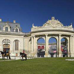 Musée Du Cheval