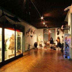 Musée Zoologique De Strasbourg