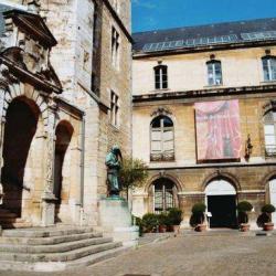 Musée Des Beaux Arts
