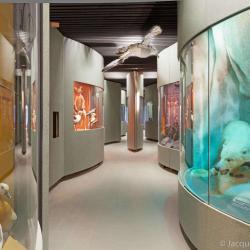 Muséum - Jardin Des Sciences