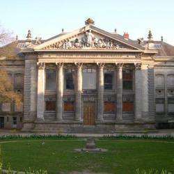 Muséum D'histoire Naturelle De Nantes