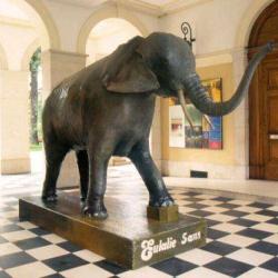 Muséum D'histoire Naturelle