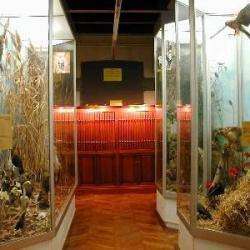 Muséum D'histoire Naturelle Henri-lecoq