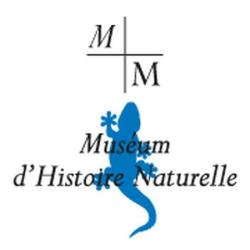 Muséum D'histoire Naturelle De La Ville De Marseille