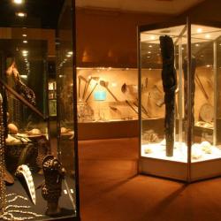 Muséum D'histoire Naturelle