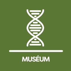 Muséum De Besançon