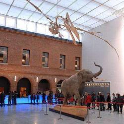 Muséum D'histoire Naturelle