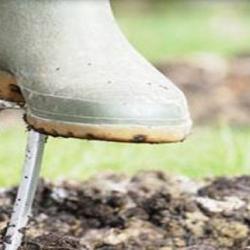 Mutualité Sociale Agricole Msa