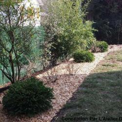 My Garden