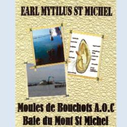 Mytilus St Michel