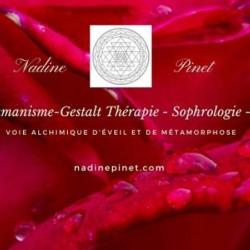 Nadine Pinet Réseau Ressource