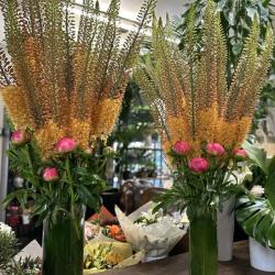 Napoli Fleurs