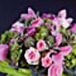 Nathalie Fleurs