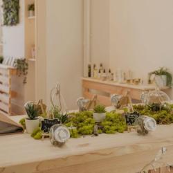 Nativus - Cbd Shop