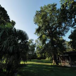Natural Surf Lodge