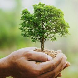 Nature Conscience