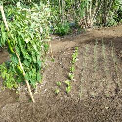 Nature Conseils Et Services