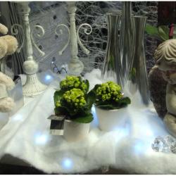 Nature Et Deco