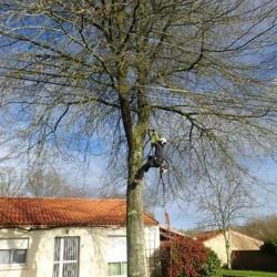 Nature Urbaine