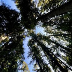 Nature Xplore