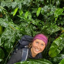 Naturopathe Nancy - Manon Mortessagne