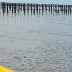 Nautil Mer Et Gestion