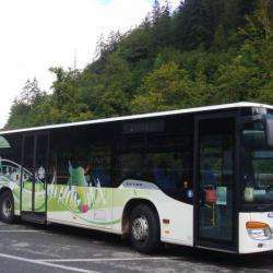 Navettes Ski Bus