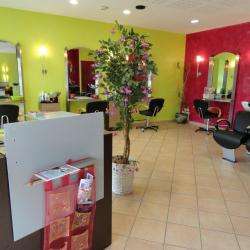Nc Coiffure